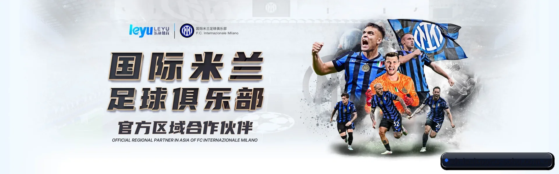 乐思体育 APP - lesisports