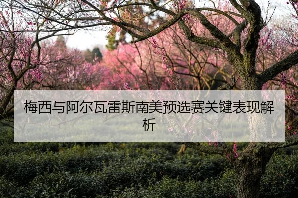 梅西与阿尔瓦雷斯南美预选赛关键表现解析